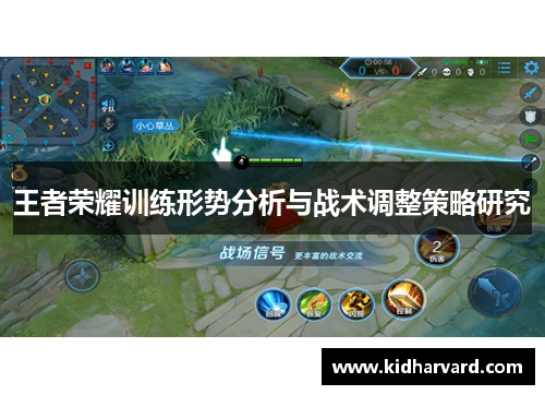 王者荣耀训练形势分析与战术调整策略研究